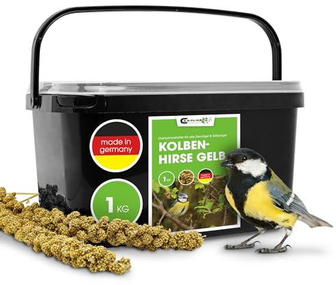 Miglio giallo 1 kg – mangime per uccelli tutto l'anno – per uccelli ornamentali e uccelli selvatici