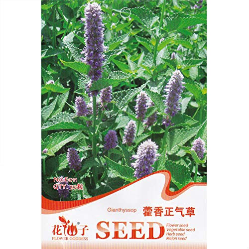 Shopmeeko Gianthyssop * 1 paquet 50 pièces (pcs) * Agastache foeniculum * Agastache rugosa * Agastache anisata * Hysope dâ€™anis: 1 paquet