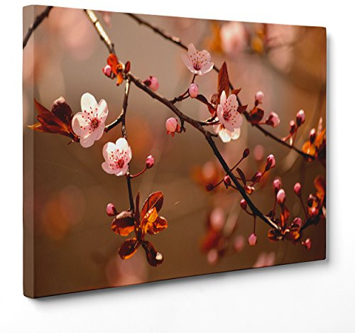 ConKrea Quadro su Tela Canvas - INTELAIATO - Pronto da Appendere - Albero Ciliegio in Fiore - Giappone Giapponese Sakura - 30x40cm - Senza Cornice - (cod.1782)