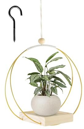 LIUYIDM Blumenampel Hängend Innen 30X30cm (Gold) | Decke Hängende Pflanzer, Metallring mit Holzsockel Für Zimmerpflanzen Sukkulenten Luftpflanzen Kaktus
