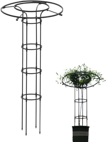 Eventerde Griglia per piante rampicanti all'aperto – Struttura di supporto per piante rampicanti in giardino – Supporto per piante rampicanti in metallo con forma a colonna, per fiori, piante da