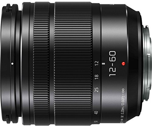 PANASONIC LUMIX G VARIO LENS, 12-60MM, F3.5-5.6 ASPH., MIRRORLESS MICRO FOUR THIRDS, POWER OPTICAL I.S., H-FS12060 (USA BLACK)