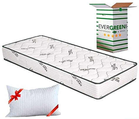 EVERGREENWEB Orthopädische Matratze 80x200 Höhe 20 cm + Visco Kissen GRATIS Kaltschaummatratze mit Aloe Vera Massageeffekt Atmungsaktiv Milbendicht Bezug für Lattenrost oder Bett