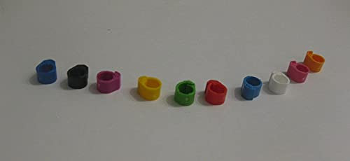 BVT 100 Kükenringe Wachtelringe Vogelringe Hühnerringe 6mm in 10 Farben a,10 Stück Made in Germany