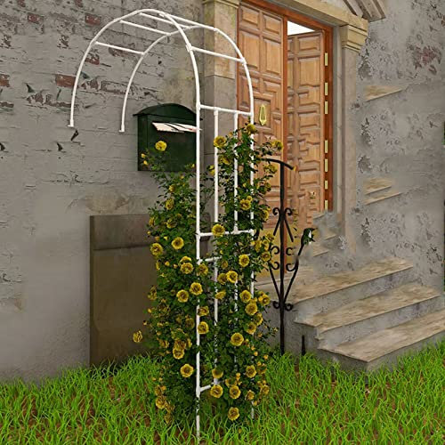Arche de rose en métal pour décoration de jardin en plein air, demi arche de jardin, parfaite pour plantes grimpantes et support d'arbre, blanc, 210 x 240 cm