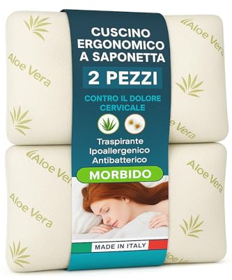 Ali Brothers Cuscini in Memory Foam, 2 Pezzi, con Fodera in Aloe Vera, Ergonomici, Supporto Cervicale, Anallergico, 72x42 cm (ALOE VERA, 2)