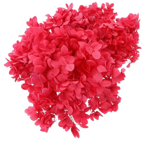 Alipis Fiori Di Ortensia Essiccati Veri Materiale Per Fiori Di Ortensia Immortali Accessori Artigianali Per Bouquet Di Decorazioni Per La Casa