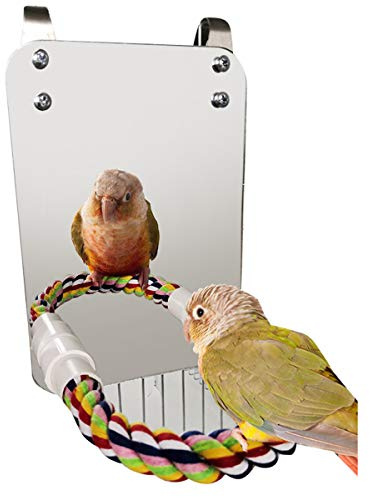 Felenny Vogelspiegel Spielzeug mit Seilstange Papageien Vogelbeißspielzeug mit großem Spiegel Papagei Kralle Vogelkäfig Spiegel Kauspielzeug für Wellensittiche Sittiche Nymphensittiche Niebesvögel