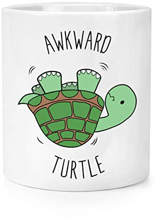 Maladroite Tortue Maquillage Pinceaux Crayon Pot