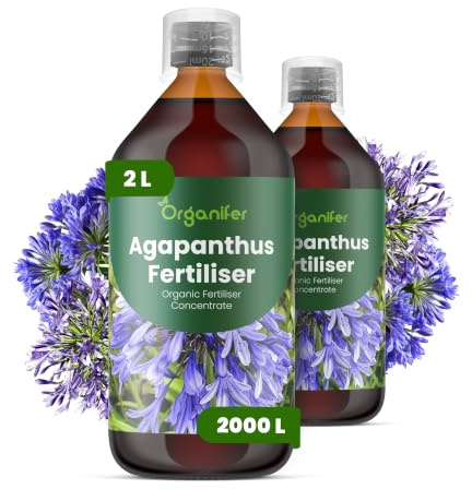 Engrais liquide pour agapanthe 2x1L – Engrais liquide organique pour fleurs luxuriantes & feuilles saines – Renforce racines & résistance – Organifer