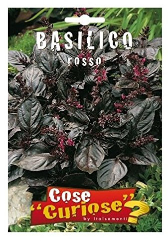 Semi - Basilico Rosso (Red Rubin)