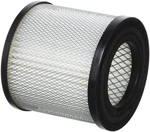 Greenstar 14082 - Filtro para aspiradora/vacío, color negro