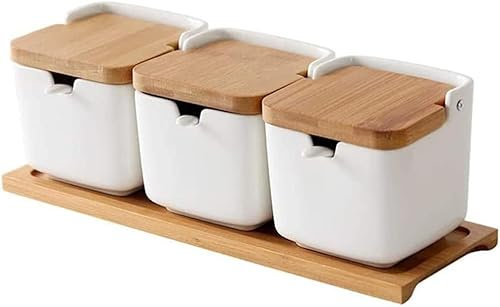 GImLY Tarro de especias de 250ml, sal, especias, caja de condimentos, azucarero, cuchara de cerámica y tapa de bambú, lote de 2