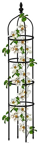 Obelisco per Rose Rampicanti Traliccio Giardino Alto 120cm 150cm 180cm 210cm Metallo antiruggine Piante Vaso Interni Fiori all'aperto Verdure Frutta Vite Supporto (Nero) ( Size : 9.8/25cm Dia. x 59/