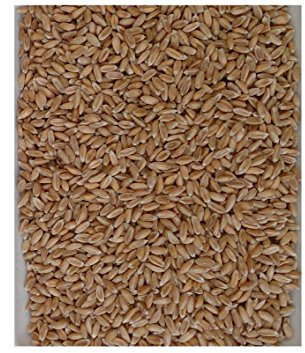 Naturhaus-Kaiser Dinkelkerne lose 5 Kg