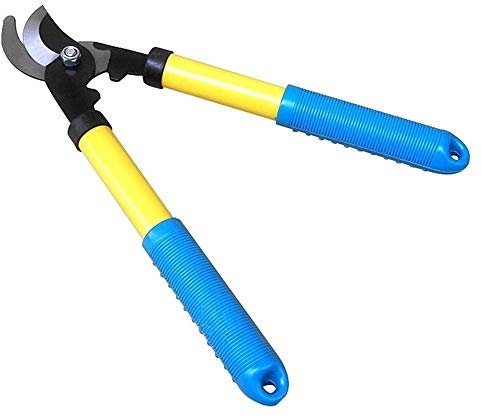 Gartenschere, Heckenschere, Gartenschere, Schere, Sträucher, Trimmen, Scheren, Zaunschneider, Äste, Schneidwerkzeug, Gartenschere, Blumen, Bäume, Trimmer, Hecke