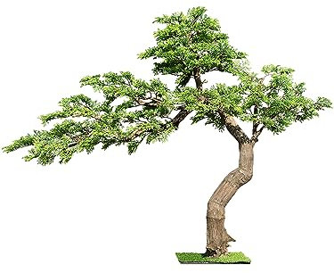 Simulé Bienvenue pin Nouvel atterrissage Chinois Zen cyprès Arbre Ornement Plante décorative Faux Arbre bonsaï 1.8 * 2.3 m