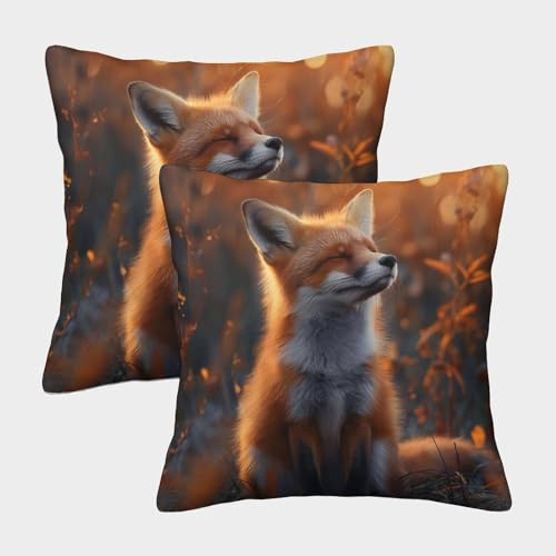ENYISIYULO 3D-Druck Deko Kissenbezug Süßer Fuchs 2er Set Kissenhülle Dekorative Weiche schöne Lowrie Sofakissen Für Couch Schlafzimmer Outdoor Gartenbett Balkon 45x45cm