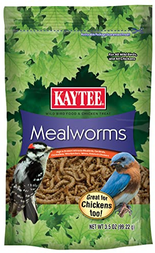 Kaytee Wild Bird Food Mealworms For Bluebirds, Wrens, Robins, Chickadees, Woodpeckers, Cardinals & Chickens, 3.5 Ounce