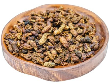 Anhaltiner Seidenraupenpuppen 1kg getrocknet Wildvogelfutter Vogelfutter proteinreicher Snack für Wildvögel Ergänzungsfutter