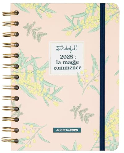 Mr. Wonderful - Office-Kalender 2025, klein, Wochenansicht – Die Magie beginnt – enthält 8 Blatt Aufkleber und Motivationssätze