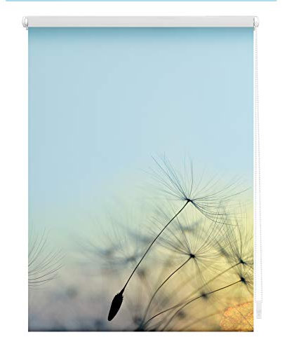 Lichtblick Klemmfix Verdunklungs-Rollo mit Motiv, ohne Bohren, Blickdicht, Seitenzugrollo, Made in Germany, Pusteblume - Blau 45 x 150 cm