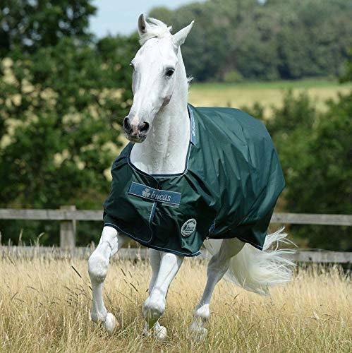 Bucas Green-Line Turnout 165 Pferdedecke 100g, Green