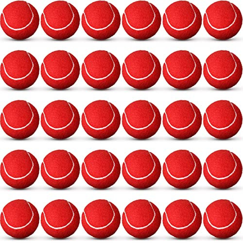 Vinsot 24 Pack Tennis Balls Bulk, Standard Pressure Balls for Training Playing Player Beginner Youth, Exercise Ball for Pet Dog, 2.5 Inch(Red)