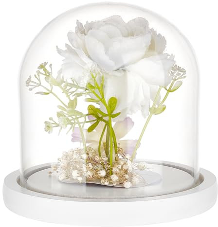 BENECREAT 12x12cm White Lacquered Glass Dome Cloche Wooden Display Dome, Clear Glass Cloche Bell Jar for DIY Flower Craft, Christmas Decorations