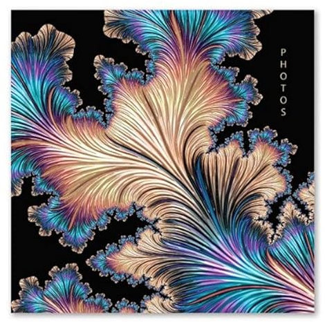 Sixstore Black Pearl Design Photo Album Holds 200 Slip in 6'' x 4'' Photographs, Memo Section Multi