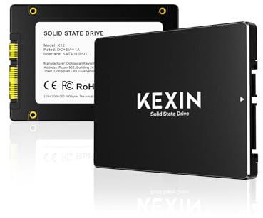 KEXIN SSD Interno SATA III de 2,5 Pulgadas, 64 GB: hasta 280 MB/s de Lectura y 250 MB/s de Escritura, SSD de Alta Velocidad para portátiles y PC de sobremesa