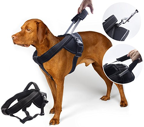 yogadog – Heavy Duty Hundegeschirr, gegen Ziehen, weich gepolstert mit spezieller Verlängerte integrierte Kurze Leine Design, reflektierende Nähte, XL:28''-38'', schwarz