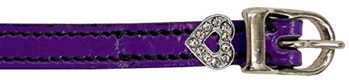 Imperial Sporenriemen Shiny purple