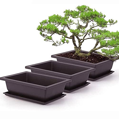 Gcroet Bonsai Training Pots and Trays,Rectangle Plant Pot, Plastic Bonsai Training Pots, Flower Succulent Pots with Trays Durable Planter Plants Growing Pots Container Succulent Planter 6PCS