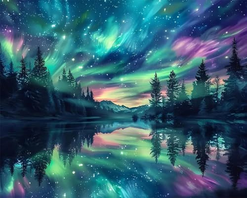 Hongyrjy Aurora Paint by Numbers for Adults-Painting Kits for Adults,Starry Sky Paint by Number Canvas,Paint by Numbers for Adult Scenery Perfect for Gifts and Home Wall Decor 12x16in
