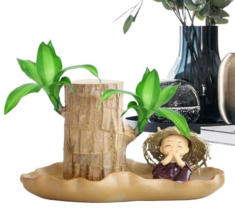 Planta de madera brasileña, pequeña planta de madera brasileña con estatuas de monje, plantas hidropónicas en maceta, plantas de interior para escritorio