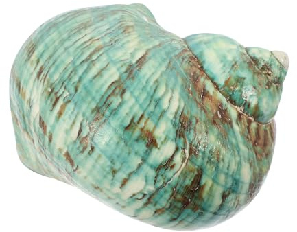 Hohopeti Natürliche Grüne Meeresschnecke Aquarium Deko Muschel Füllmaterial Robuster DIY Bastel Schmuck für Fischbecken und Vasen Dekoration Geeignet für Strandpartys und Meeresmotive