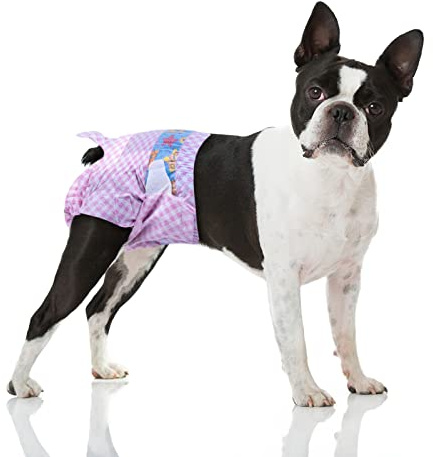 Flying Paws Couches Jetables Chienne Femelle, M 20 Pièces, Culotte Jetable Quotidienne, Propreté Maison, Tour de Taille 30-50 cm, Super Absorbantes et Anti-Fuites avec Indicateur, Couche pour Chat