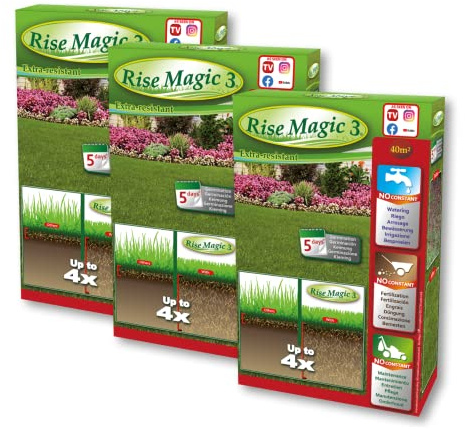 Rise Magic 3-4er Pack Rasensamen - 240m² - 1 Packung Gratis - Keimung 10 Tage - Bio & Ökologisch - Kältebeständig - Französischer Produzent