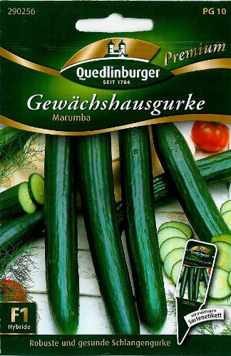 Gewächshausgurke, Marumba F1