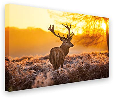 PICSonPAPER Hochwertiges Leinwandbild Hirsch in Morgensonne, 70 cm x 50 cm, Dekoration, Kunstdruck, Wandbild, Geweih, Rotwild, Wild, Premium Qualität