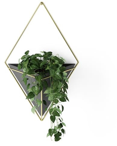 Umbra Trigg Wandvase & Geometrische Deko - Übertopf Für Zimmerpflanzen, Sukkulenten, Luftpflanzen, Kakteen, Kunstpflanzen und Mehr, Schwarz/Messing, Gross