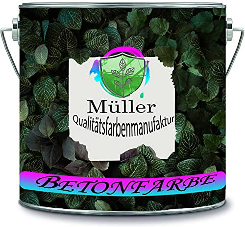 Müller Qualitätsfarbenmanufaktur Pintura para hormigón, garaje, revestimiento de suelo, revestimiento de suelo, para interiores, suelos industriales, sótanos, viviendas, resina epoxi (1,25 kg, gris