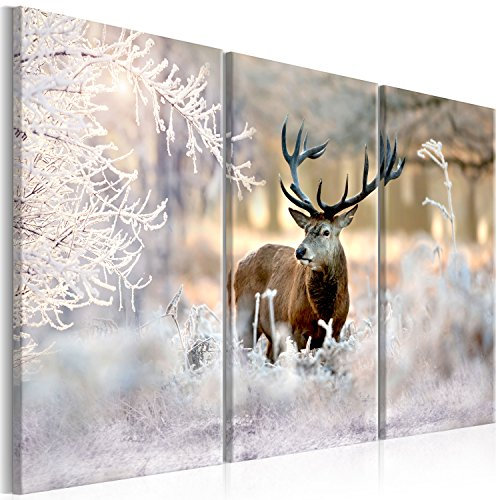 murando - Akustikbild Tier Hirsch Bilder Akustikschaum Hochleistungsschallabsorber Schallschutz Leinwand 3 tlg Wandbild Raumakustik Schalldämmung g-C-0065-b-f