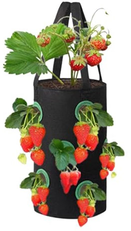 Erdbeere Pflanzsack, Pflanzen Tasche Grow Tasche Pflanzbeutel Mit Griffe, Pflanzsack Tomaten Pflanzbeutel Tomaten Filz Pflanztasche Hängend Erdbeeren Pflanztaschen Mit 12 Löchern Für Pflanzen/Kräuter