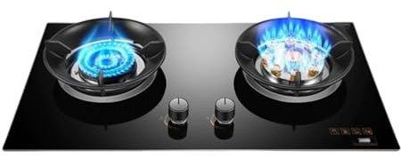 Portable Gas Stove,5.2kw 9-cavity High-fire Frying Pan,Stainless Steel Glass Top Wok 2 Burners,NG/LPG Gas Source Kit,with Flameout Protection(LPG)