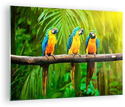ARTTOR Vidrios decorativos Loros Collorful Naturaleza las aves Cuadro Sobre Vidrio Moderno 70x50cm Decoracion Salon Cocina Cuadros Pared Impresiones Impresión en Cristal Wall Art Prints GAA70x50-2696