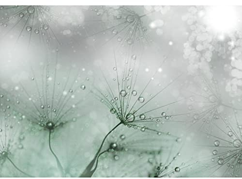 Runa Art Fototapeten 396 x 280 cm Blumen Pusteblume - Vlies Wanddekoration Wohnzimmer Schlafzimmer - Deutsche Manufaktur - Grün 9426012b