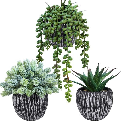Winlyn Juego de 3 pequeñas plantas suculentas artificiales en maceta, aloe lúpulo sintético, cadena de perlas, suculentas en macetas de hormigón blanco y negro, plantas falsas para regalo, hogar,