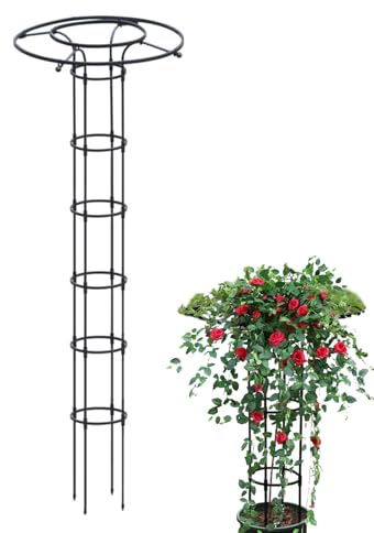 Rankhilfe Metall für Kletterpflanzen | Blauregen Schirm Rankhilfe Rosen | Rostfreie Metall-Rankhilfes | Wetterfest Garten Rankgitter Tomatenkäfig Pflanzenstütze Obelisk für Rosen, Tomaten, Gurken